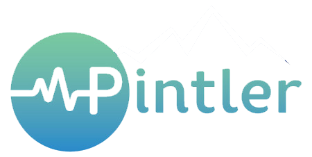 Pintler Billing Services